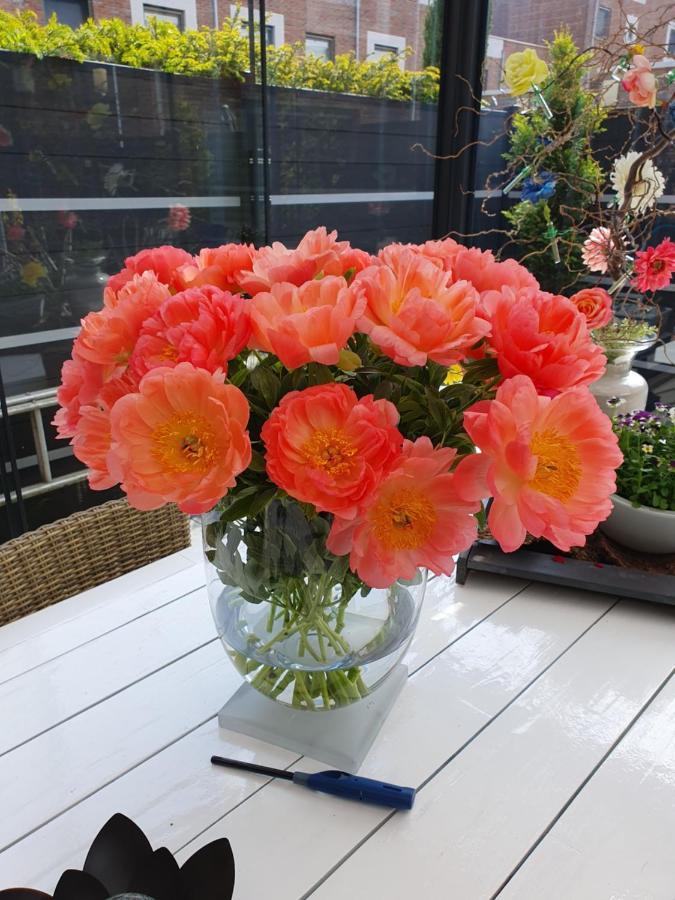 B&B Modern Times Amsterdam Luaran gambar